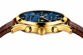 OLEVS Large Dial Brown watch