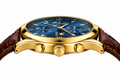 OLEVS Large Dial Brown watch